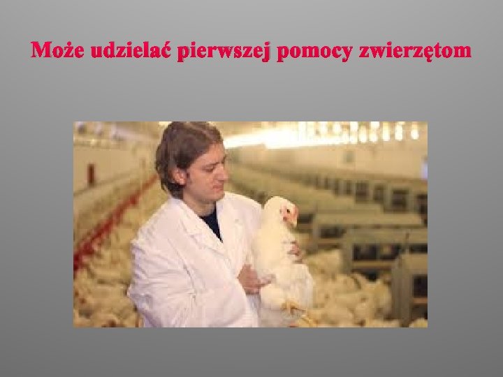 Może udzielać pierwszej pomocy zwierzętom 