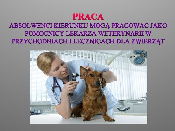 PRACA 