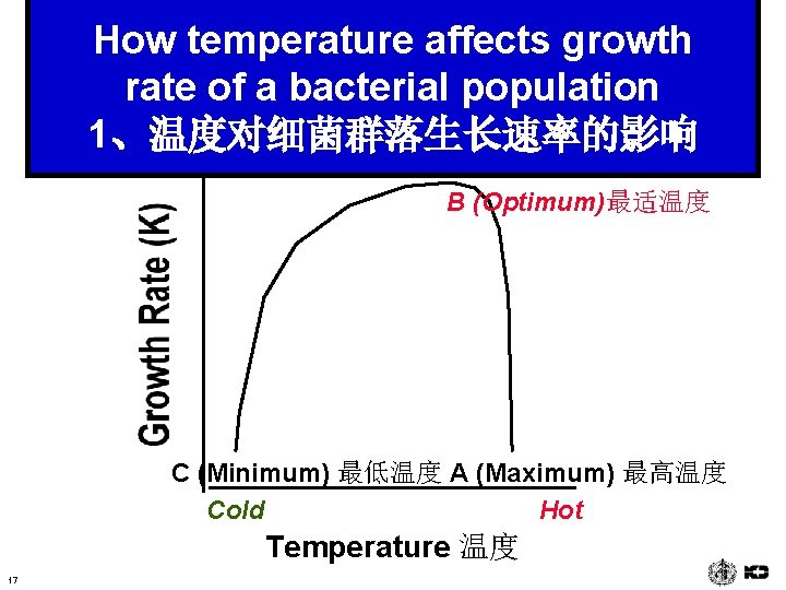 How temperature affects growth rate of a bacterial population 1、温度对细菌群落生长速率的影响 B (Optimum)最适温度 C (Minimum)