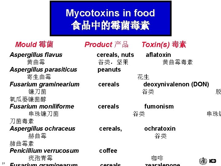 Mycotoxins in food 食品中的霉菌毒素 Mould 霉菌 Aspergillus flavus 黄曲霉 Aspergillus parasiticus 寄生曲霉 Fusarium graminearium