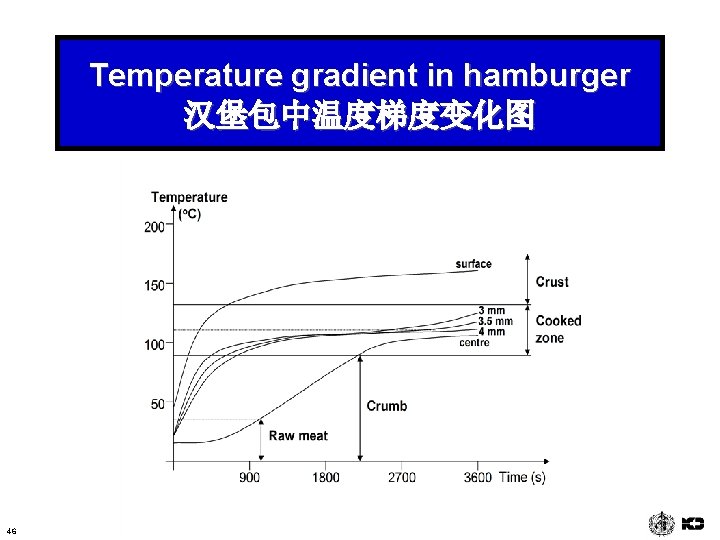 Temperature gradient in hamburger 汉堡包中温度梯度变化图 46 