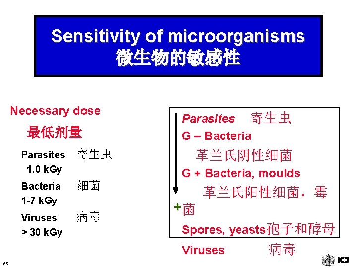 Sensitivity of microorganisms 微生物的敏感性 Necessary dose 最低剂量 Parasites 1. 0 k. Gy 寄生虫 Bacteria