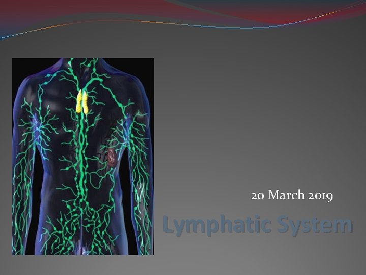 20 March 2019 Lymphatic System 