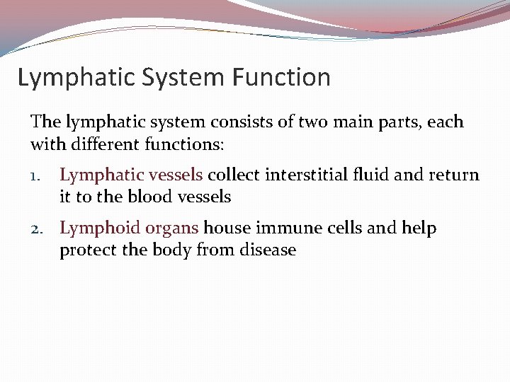Lymphatic System Function The lymphatic system consists of two main parts, each with different