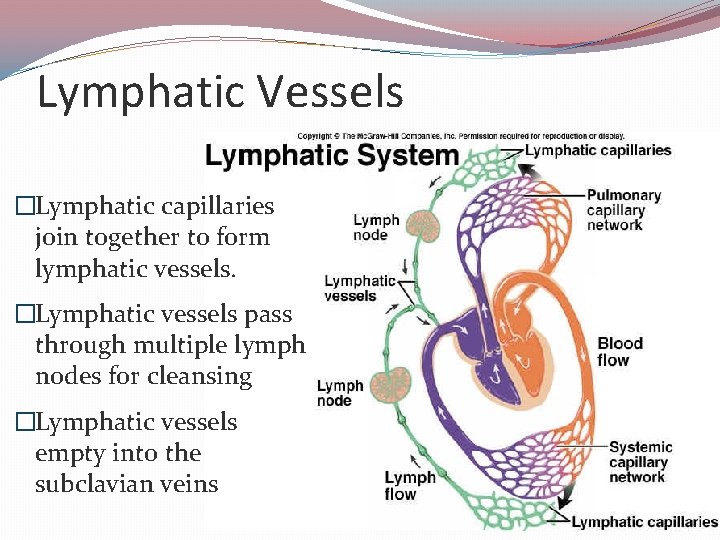 Lymphatic Vessels �Lymphatic capillaries join together to form lymphatic vessels. �Lymphatic vessels pass through