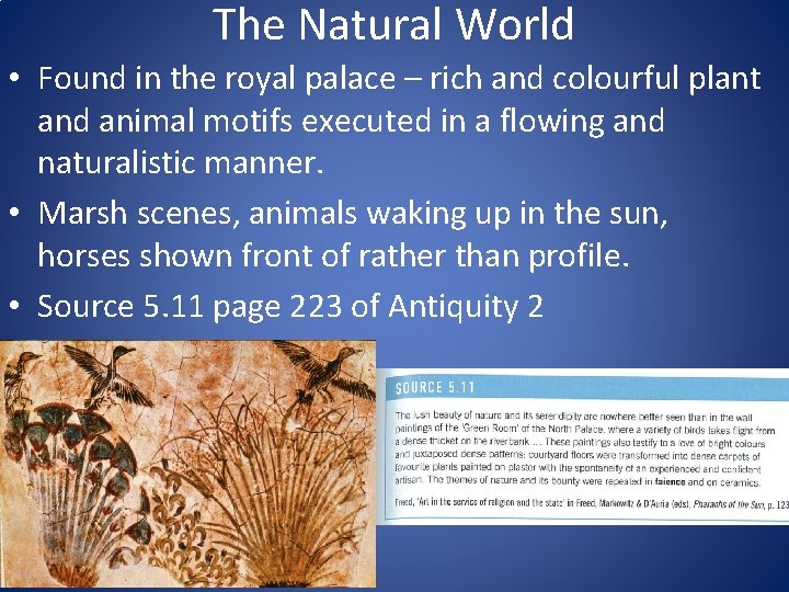 The Natural World • Found in the royal palace – rich and colourful plant