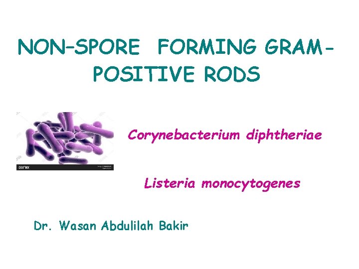 NON–SPORE FORMING GRAMPOSITIVE RODS Corynebacterium diphtheriae Listeria monocytogenes Dr. Wasan Abdulilah Bakir 