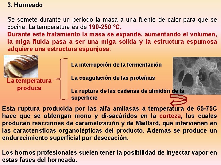 3. Horneado Se somete durante un período la masa a una fuente de calor