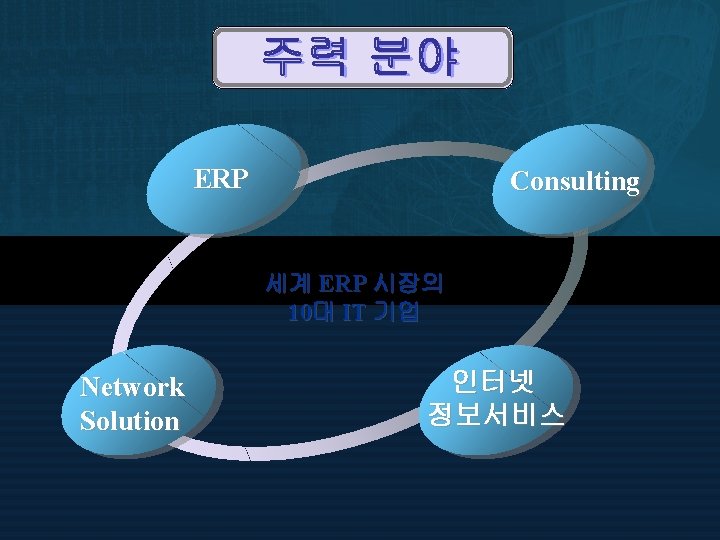 ERP Consulting 세계 ERP 시장의 10대 IT 기업 Network Solution 인터넷 정보서비스 