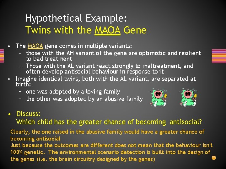 Hypothetical Example: Twins with the MAOA Gene • The MAOA gene comes in multiple