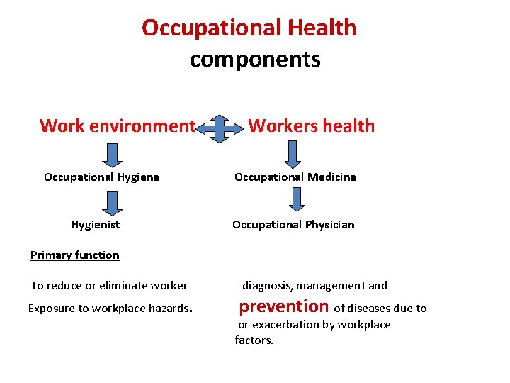 Occupational Health components Work environment Occupational Hygiene Hygienist Workers health Occupational Medicine Occupational Physician