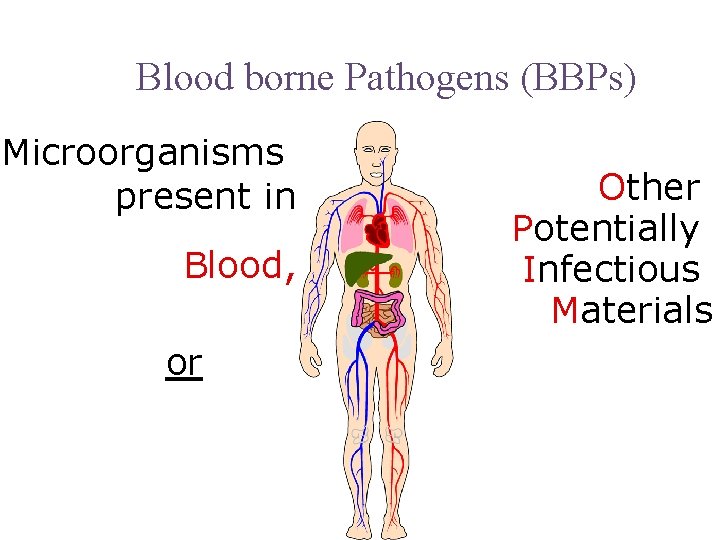 Blood borne Pathogens (BBPs) Microorganisms present in Blood, or Other Potentially Infectious Materials 