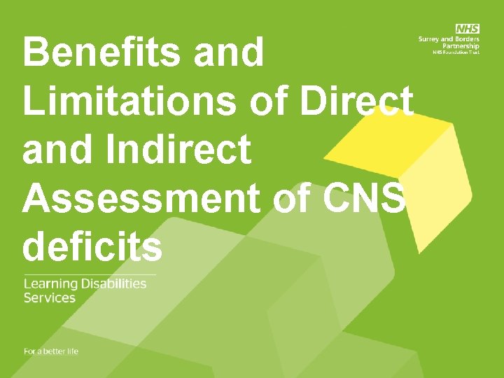 Benefits and Limitations of Direct and Indirect Assessment of CNS deficits 