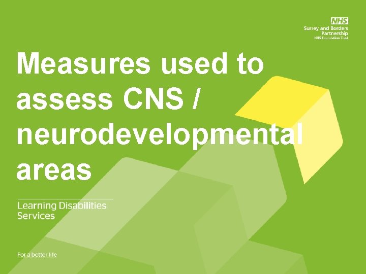 Measures used to assess CNS / neurodevelopmental areas 