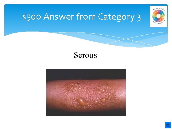 $500 Answer from Category 3 Serous 