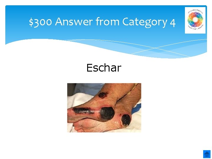 $300 Answer from Category 4 Eschar 
