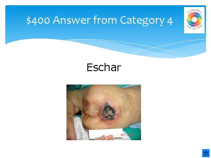 $400 Answer from Category 4 Eschar 