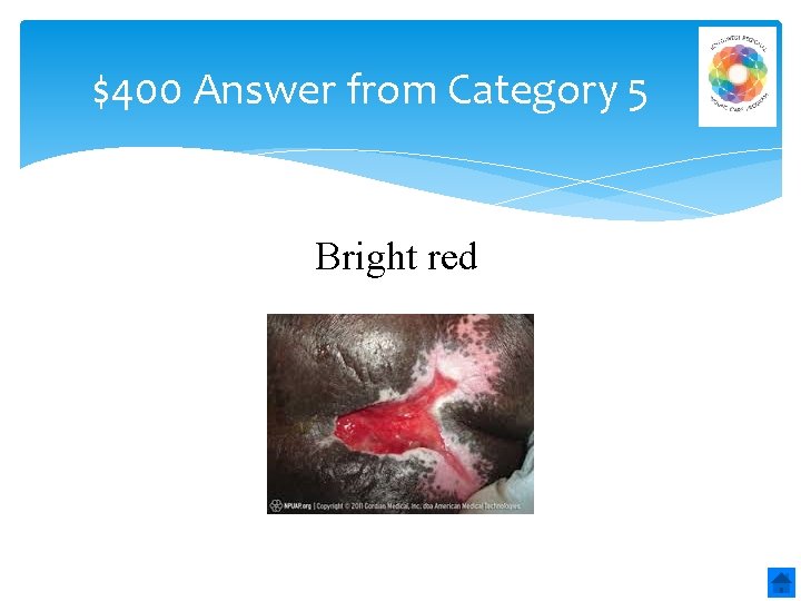$400 Answer from Category 5 Bright red 