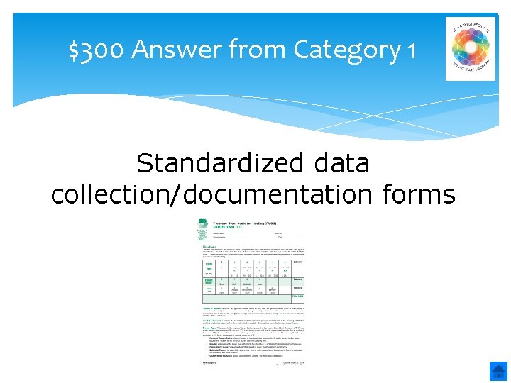 $300 Answer from Category 1 Standardized data collection/documentation forms 