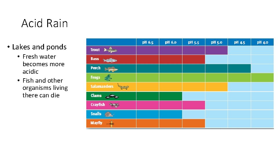 Acid Rain • Lakes and ponds • Fresh water becomes more acidic • Fish Acid Rain • Lakes and ponds • Fresh water becomes more acidic • Fish