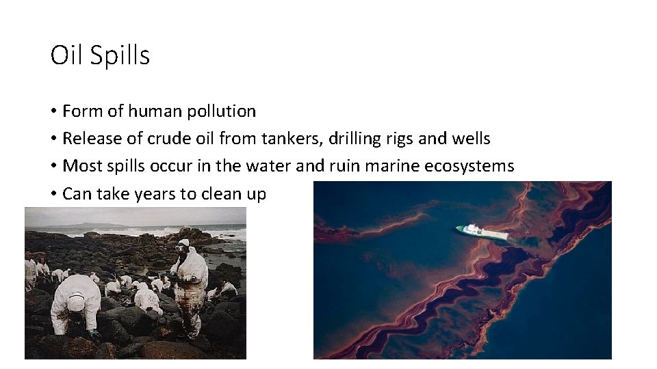 Oil Spills • Form of human pollution • Release of crude oil from tankers, Oil Spills • Form of human pollution • Release of crude oil from tankers,