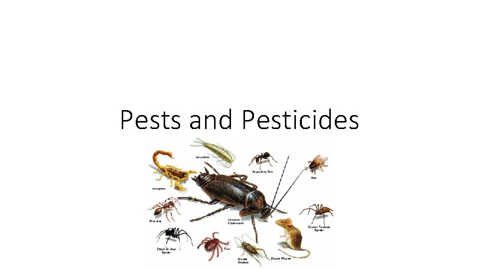 Pests and Pesticides Pests and Pesticides