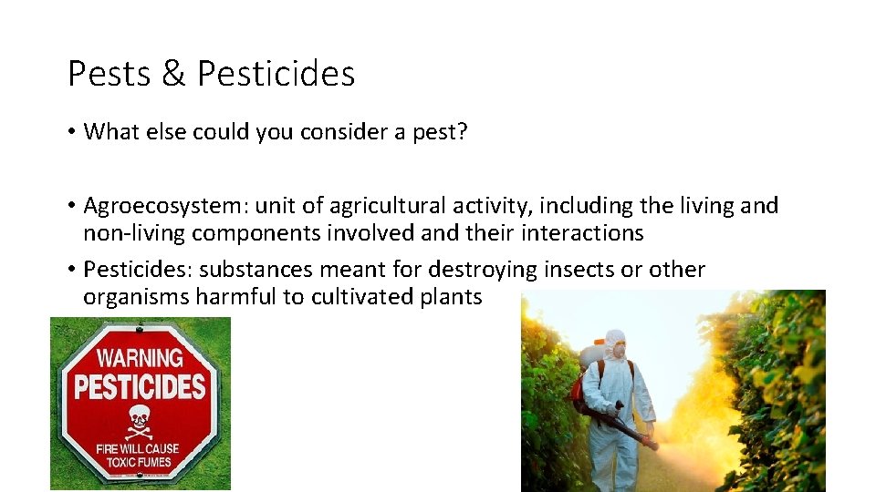 Pests & Pesticides • What else could you consider a pest? • Agroecosystem: unit Pests & Pesticides • What else could you consider a pest? • Agroecosystem: unit