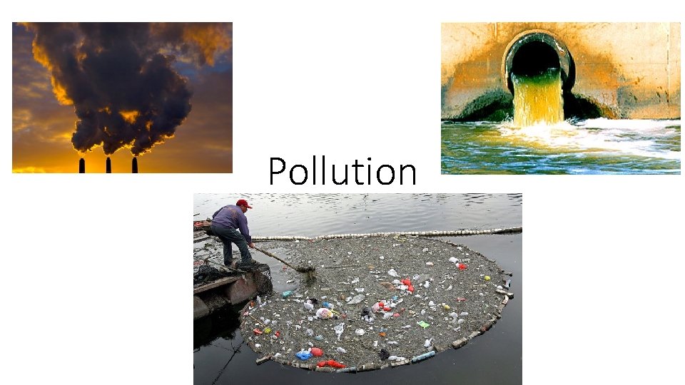 Pollution Pollution