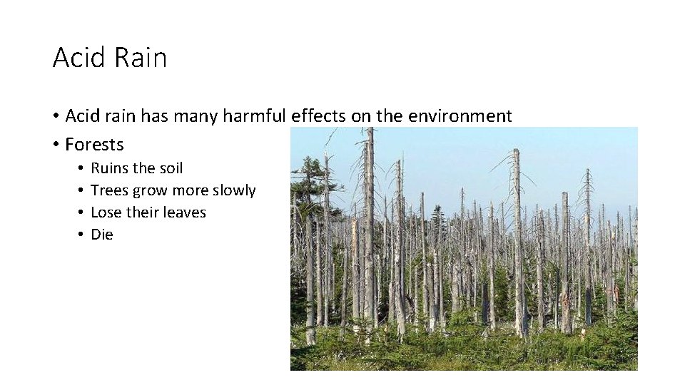 Acid Rain • Acid rain has many harmful effects on the environment • Forests Acid Rain • Acid rain has many harmful effects on the environment • Forests