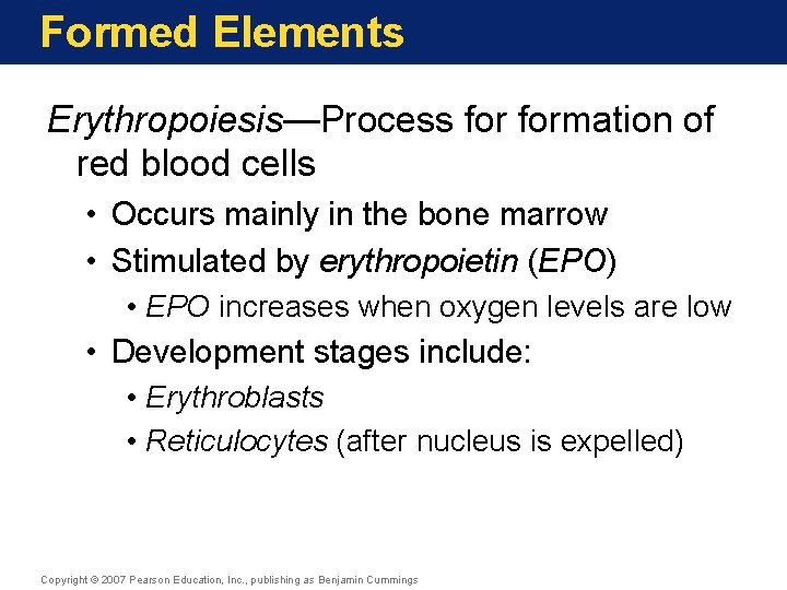 Formed Elements Erythropoiesis—Process formation of red blood cells • Occurs mainly in the bone