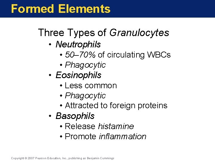 Formed Elements Three Types of Granulocytes • Neutrophils • 50– 70% of circulating WBCs