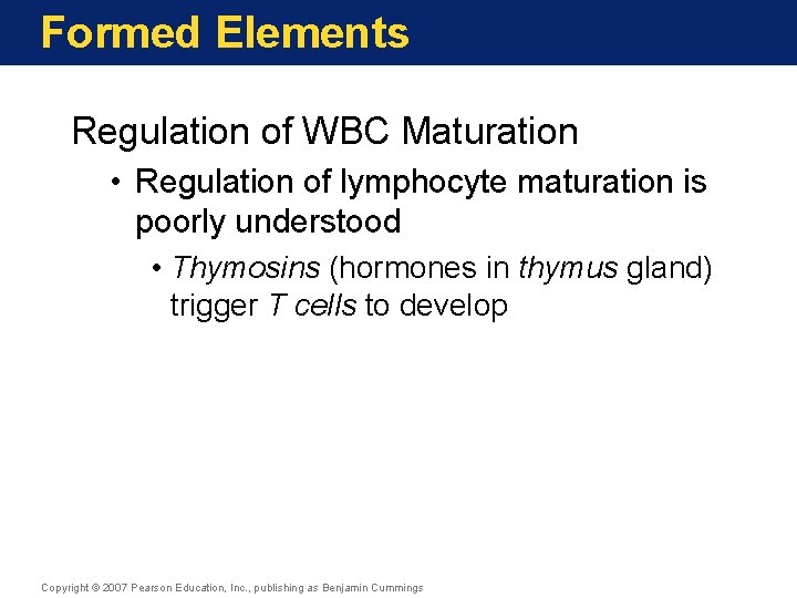 Formed Elements Regulation of WBC Maturation • Regulation of lymphocyte maturation is poorly understood