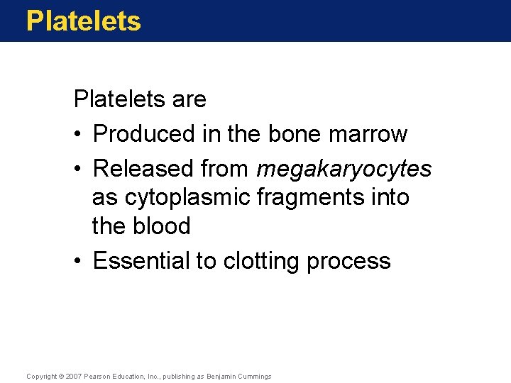 Platelets are • Produced in the bone marrow • Released from megakaryocytes as cytoplasmic