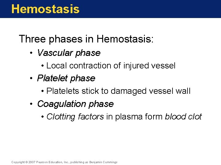 Hemostasis Three phases in Hemostasis: • Vascular phase • Local contraction of injured vessel