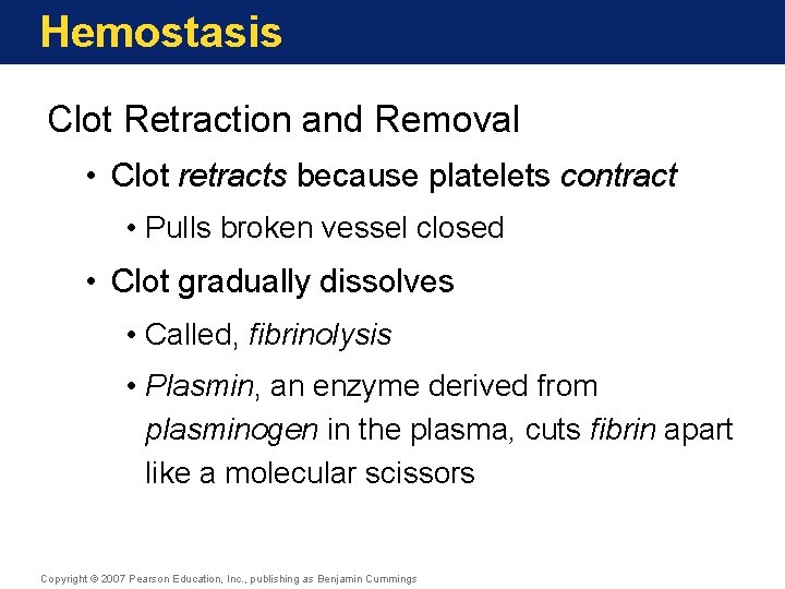 Hemostasis Clot Retraction and Removal • Clot retracts because platelets contract • Pulls broken