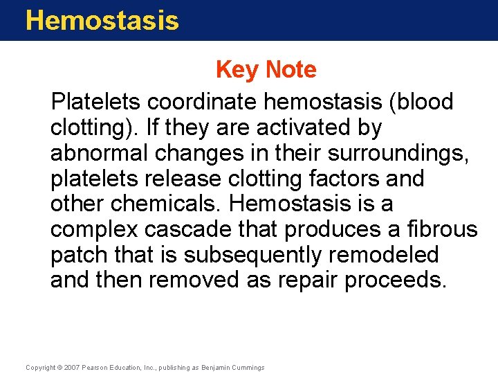 Hemostasis Key Note Platelets coordinate hemostasis (blood clotting). If they are activated by abnormal