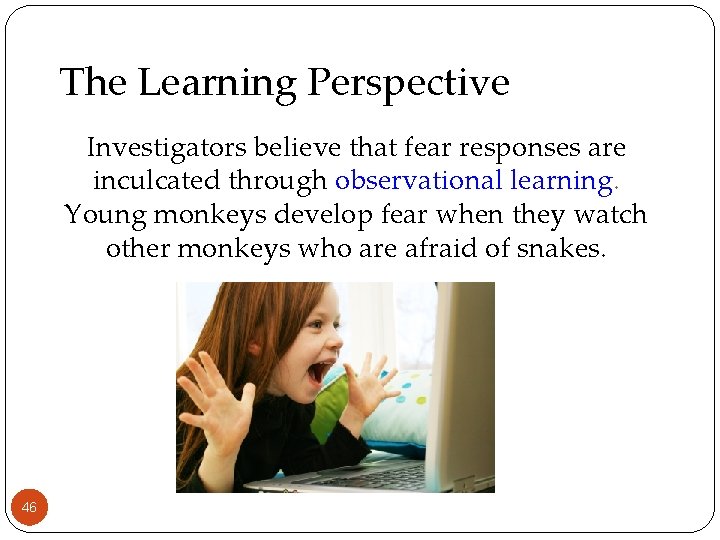 The Learning Perspective Investigators believe that fear responses are inculcated through observational learning. Young