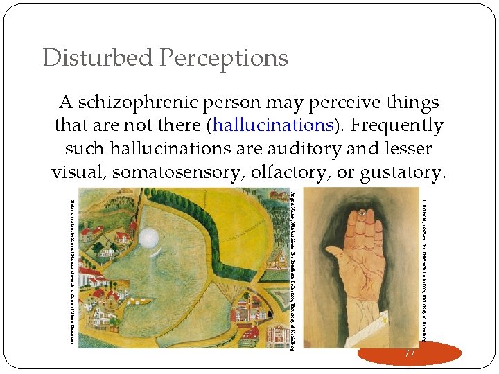 Disturbed Perceptions A schizophrenic person may perceive things that are not there (hallucinations). Frequently