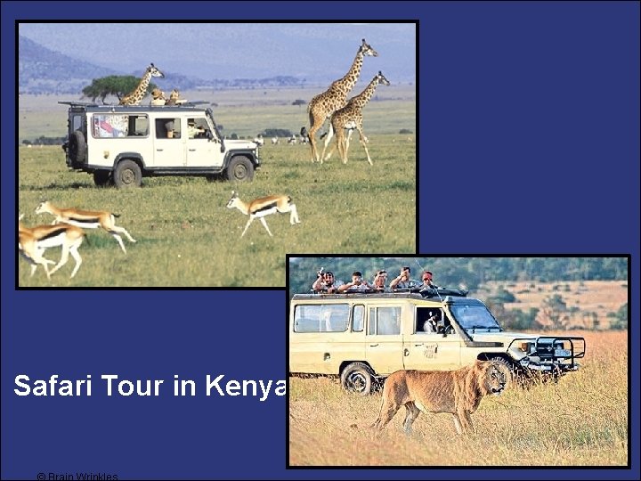 Safari Tour in Kenya 