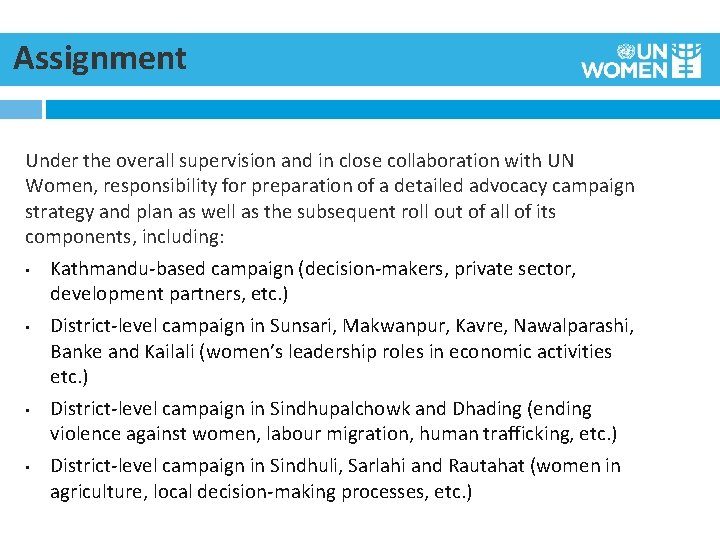 Assignment Under the overall supervision and in close collaboration with UN Women, responsibility for