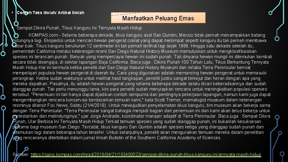  • Contoh Teks Ilmiah/ Artikel Ilmiah • Sempat Dikira Punah, Tikus Kanguru Ini