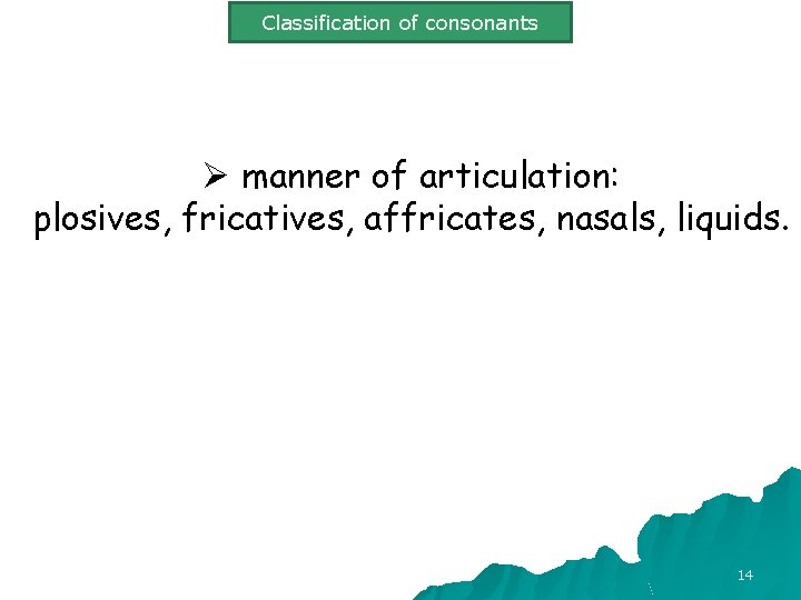 Classification of consonants Ø manner of articulation: plosives, fricatives, affricates, nasals, liquids. 14 