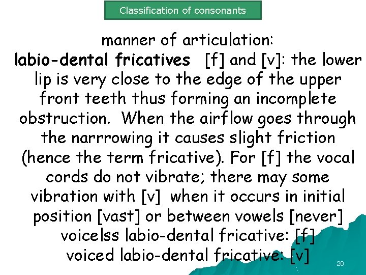 Classification of consonants manner of articulation: labio-dental fricatives [f] and [v]: the lower lip