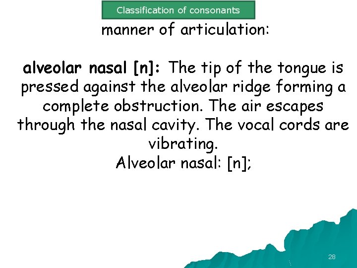 Classification of consonants manner of articulation: alveolar nasal [n]: The tip of the tongue