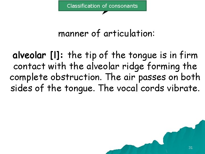Classification of consonants Ø manner of articulation: alveolar [l]: the tip of the tongue