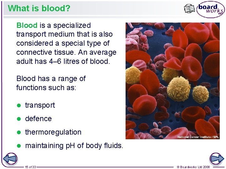 What is blood? Blood is a specialized transport medium that is also considered a
