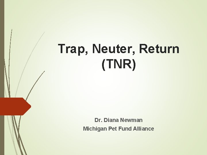 Trap, Neuter, Return (TNR) Dr. Diana Newman Michigan Pet Fund Alliance 