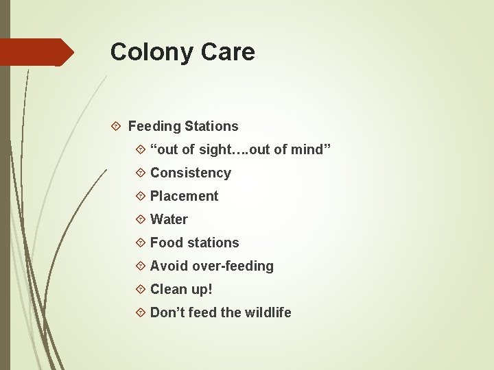 Colony Care Feeding Stations “out of sight…. out of mind” Consistency Placement Water Food