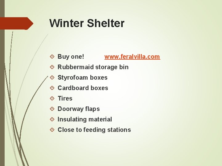 Winter Shelter Buy one! www. feralvilla. com Rubbermaid storage bin Styrofoam boxes Cardboard boxes