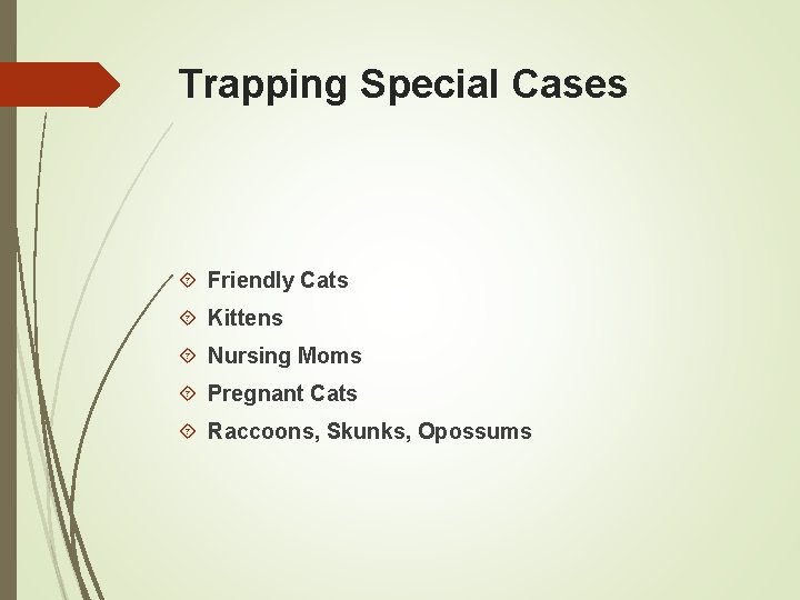 Trapping Special Cases Friendly Cats Kittens Nursing Moms Pregnant Cats Raccoons, Skunks, Opossums 